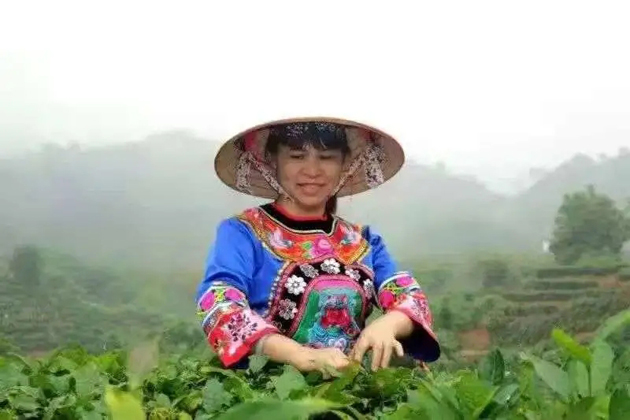 【梧州工匠】劉錦芳：鉆研和創(chuàng)新，帶領(lǐng)鄉(xiāng)親發(fā)家致富