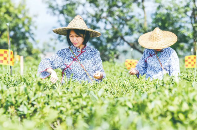 國家批復同意，梧州籌建！