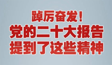 【黨的二十大】踔厲奮發(fā)！黨的二十大報告提到了這些精神