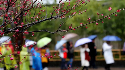 今日雨水！別忘了咱的老講究！