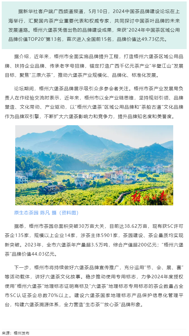 排名全國第13名！“梧州六堡茶”品牌價值實(shí)現(xiàn)新突破.png