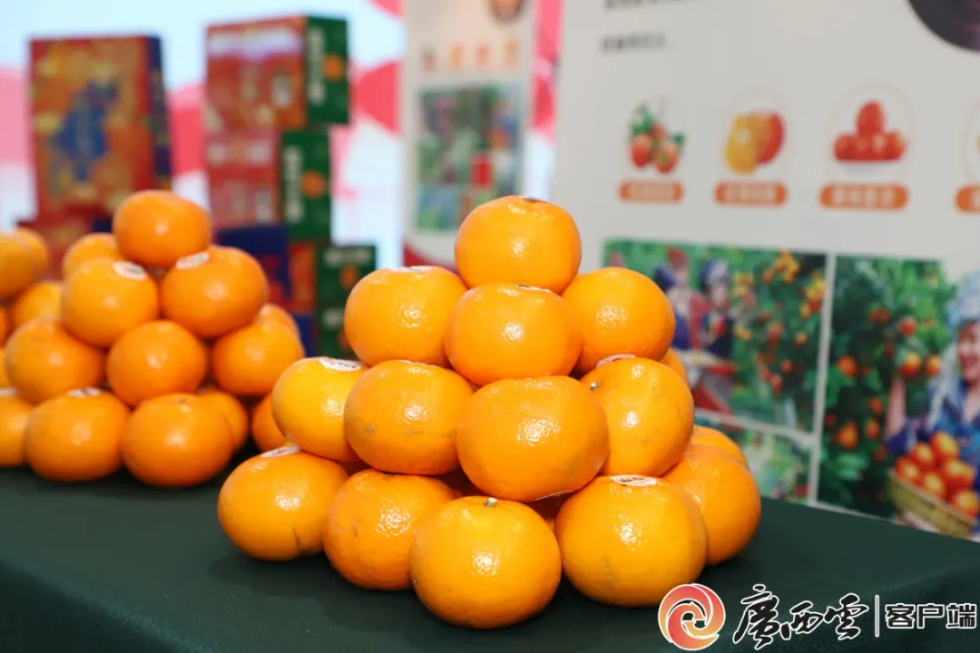 廣西日?qǐng)?bào)5.jpg