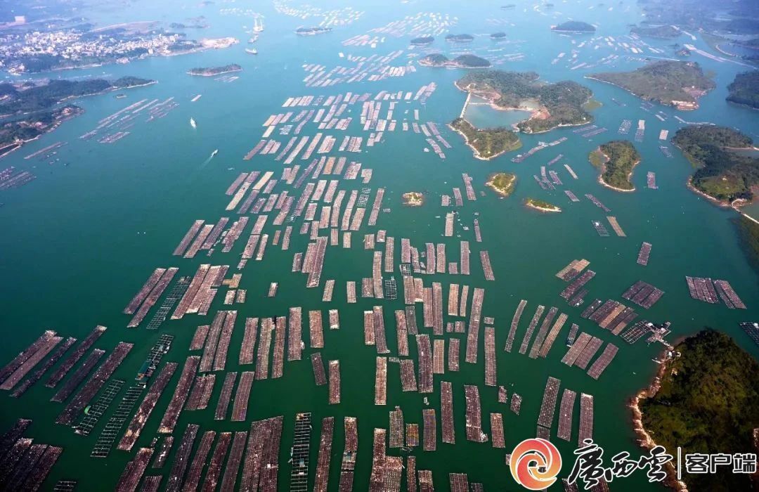 廣西日?qǐng)?bào)9.jpg