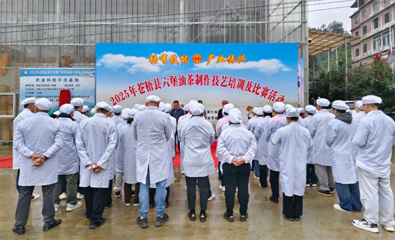 2025年蒼梧縣六堡油茶制作技藝培訓及比賽活動圓滿落幕！