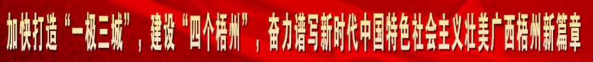 加快打造“一級(jí)三城市”，建設(shè)“四個(gè)梧州”，奮力譜寫(xiě)新時(shí)代中國(guó)特色社會(huì)主義壯美廣西梧州新篇章